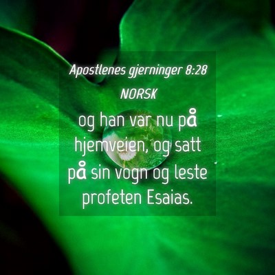 Picture 04 - Apostlenes gjerninger 8:28 NORSK - og han var nu på hjemveien, og satt på sin vogn - Bible Verse Picture