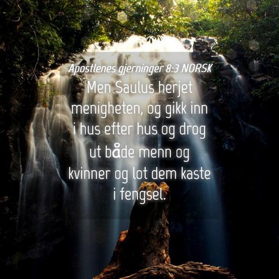 Picture 04 - Apostlenes gjerninger 8:3 NORSK - Men Saulus herjet menigheten, og gikk inn i hus - Bible Verse Picture