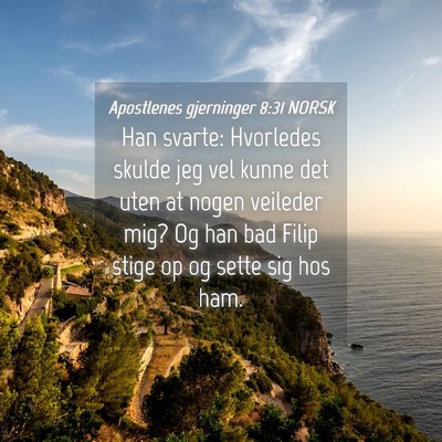 Picture 04 - Apostlenes gjerninger 8:31 NORSK - Han svarte: Hvorledes skulde jeg vel kunne det - Bible Verse Picture