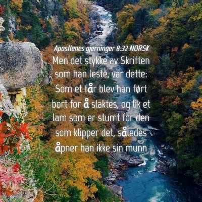 Picture 04 - Apostlenes gjerninger 8:32 NORSK - Men det stykke av Skriften som han leste, var - Bible Verse Picture