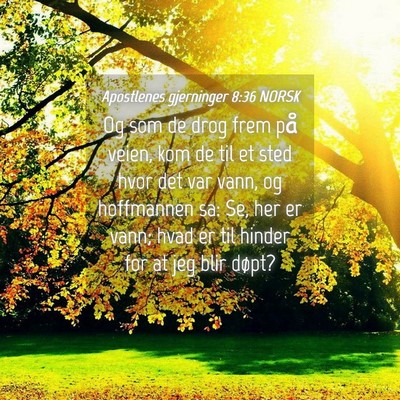 Picture 04 - Apostlenes gjerninger 8:36 NORSK - Og som de drog frem på veien, kom de til et sted - Bible Verse Picture