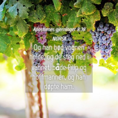 Picture 04 - Apostlenes gjerninger 8:38 NORSK - Og han bød vognen holde, og de steg ned i - Bible Verse Picture