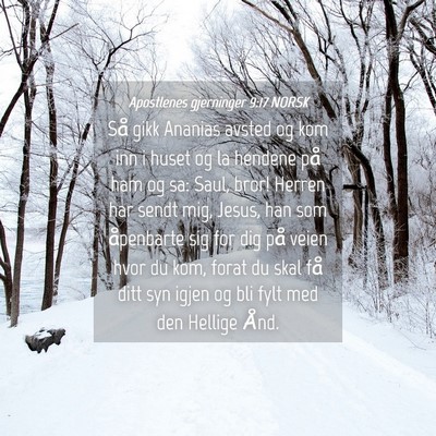 Picture 04 - Apostlenes gjerninger 9:17 NORSK - Så gikk Ananias avsted og kom inn i huset og la - Bible Verse Picture
