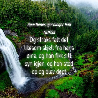 Picture 04 - Apostlenes gjerninger 9:18 NORSK - Og straks falt det likesom skjell fra hans øine, - Bible Verse Picture