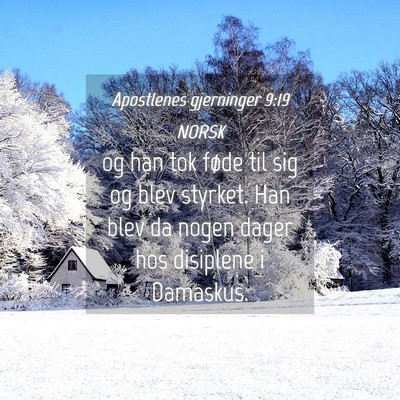 Picture 04 - Apostlenes gjerninger 9:19 NORSK - og han tok føde til sig og blev styrket. Han - Bible Verse Picture