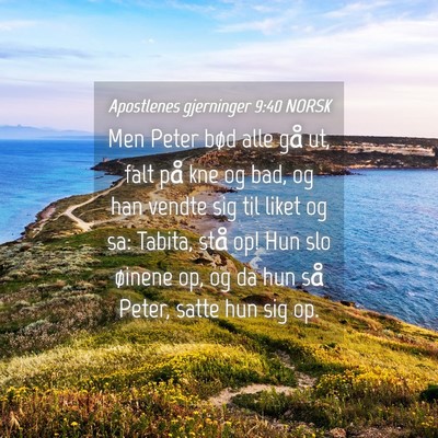 Picture 04 - Apostlenes gjerninger 9:40 NORSK - Men Peter bød alle gå ut, falt på kne og bad, - Bible Verse Picture