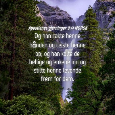 Picture 04 - Apostlenes gjerninger 9:41 NORSK - Og han rakte henne hånden og reiste henne op; og - Bible Verse Picture