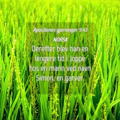 Picture 04 - Apostlenes gjerninger 9:43 NORSK - Derefter blev han en lengere tid i Joppe hos en - Bible Verse Picture
