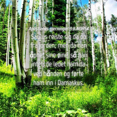 Picture 04 - Apostlenes gjerninger 9:8 NORSK - Saulus reiste sig da op fra jorden; men da han - Bible Verse Picture