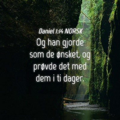 Picture 04 - Daniel 1:14 NORSK - Og han gjorde som de ønsket, og prøvde det med - Bible Verse Picture
