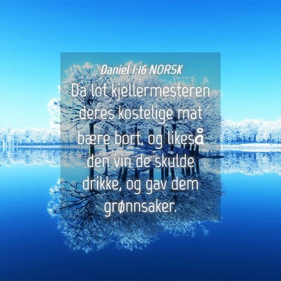 Picture 04 - Daniel 1:16 NORSK - Da lot kjellermesteren deres kostelige mat bære - Bible Verse Picture