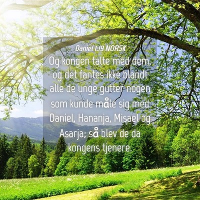 Picture 04 - Daniel 1:19 NORSK - Og kongen talte med dem, og det fantes ikke - Bible Verse Picture