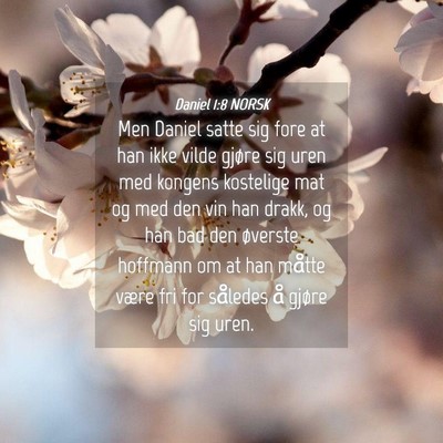 Picture 04 - Daniel 1:8 NORSK - Men Daniel satte sig fore at han ikke vilde - Bible Verse Picture