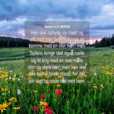 Picture 04 - Daniel 11:25 NORSK - Han skal opbyde sin makt og sitt mot mot Sydens - Bible Verse Picture