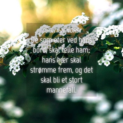 Picture 04 - Daniel 11:26 NORSK - De som eter ved hans bord, skal felle ham; hans - Bible Verse Picture