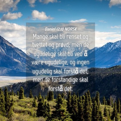 Picture 04 - Daniel 12:10 NORSK - Mange skal bli renset og tvettet og prøvd; men - Bible Verse Picture