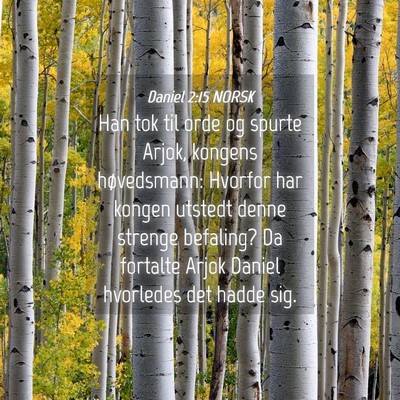 Picture 04 - Daniel 2:15 NORSK - Han tok til orde og spurte Arjok, kongens - Bible Verse Picture