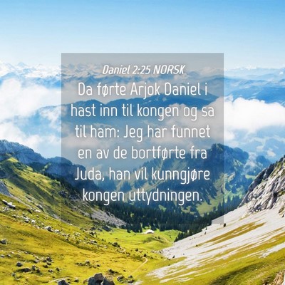 Picture 04 - Daniel 2:25 NORSK - Da førte Arjok Daniel i hast inn til kongen og - Bible Verse Picture