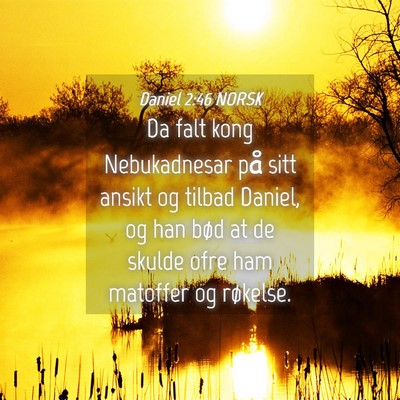 Picture 04 - Daniel 2:46 NORSK - Da falt kong Nebukadnesar på sitt ansikt og - Bible Verse Picture