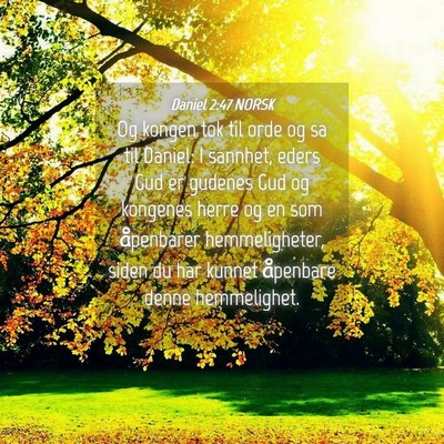 Picture 04 - Daniel 2:47 NORSK - Og kongen tok til orde og sa til Daniel: I - Bible Verse Picture