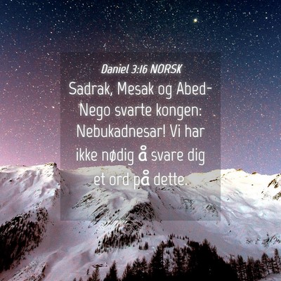 Picture 04 - Daniel 3:16 NORSK - Sadrak, Mesak og Abed-Nego svarte kongen: - Bible Verse Picture