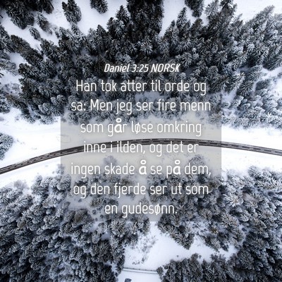 Picture 04 - Daniel 3:25 NORSK - Han tok atter til orde og sa: Men jeg ser fire - Bible Verse Picture