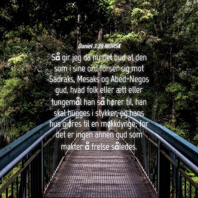 Picture 04 - Daniel 3:29 NORSK - Så gir jeg da nu det bud at den som i sine ord - Bible Verse Picture
