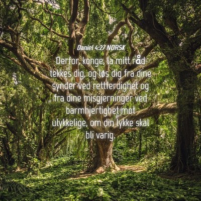 Picture 04 - Daniel 4:27 NORSK - Derfor, konge, la mitt råd tekkes dig, og løs - Bible Verse Picture