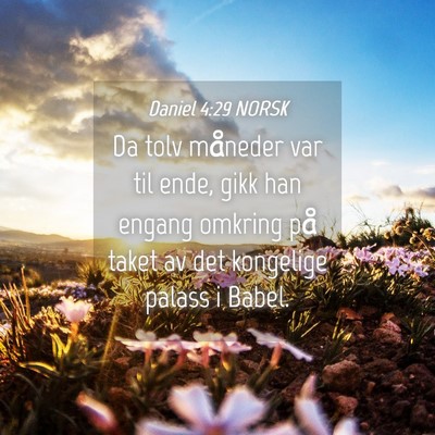 Picture 04 - Daniel 4:29 NORSK - Da tolv måneder var til ende, gikk han engang - Bible Verse Picture