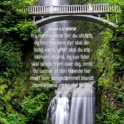 Picture 04 - Daniel 4:32 NORSK - fra menneskene blir du utstøtt, og hos markens - Bible Verse Picture