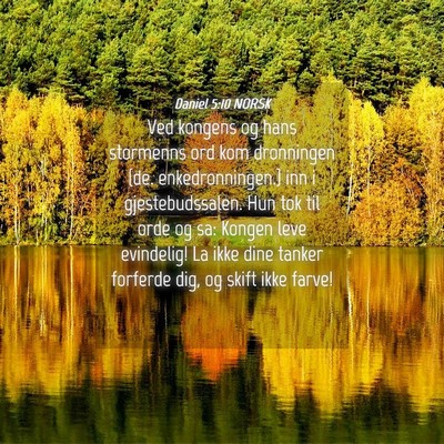 Picture 04 - Daniel 5:10 NORSK - Ved kongens og hans stormenns ord kom dronningen - Bible Verse Picture