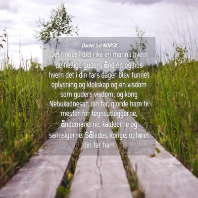 Picture 04 - Daniel 5:11 NORSK - Det finnes i ditt rike en mann i hvem de hellige - Bible Verse Picture