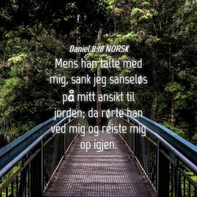 Picture 04 - Daniel 8:18 NORSK - Mens han talte med mig, sank jeg sanseløs på - Bible Verse Picture