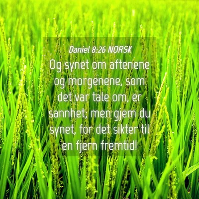 Picture 04 - Daniel 8:26 NORSK - Og synet om aftenene og morgenene, som det var - Bible Verse Picture