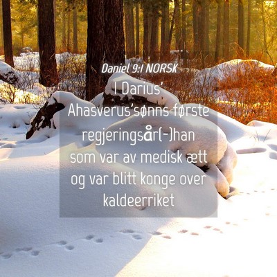 Picture 04 - Daniel 9:1 NORSK - I Darius' Ahasverus'sønns første - Bible Verse Picture