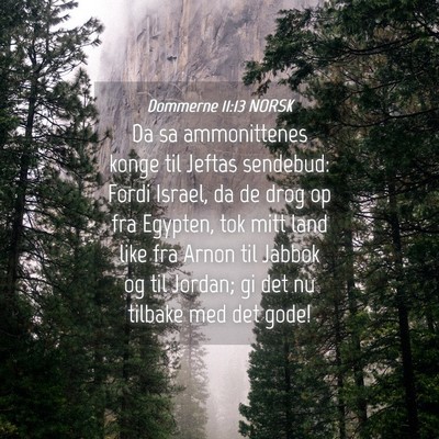 Picture 04 - Dommerne 11:13 NORSK - Da sa ammonittenes konge til Jeftas sendebud: - Bible Verse Picture