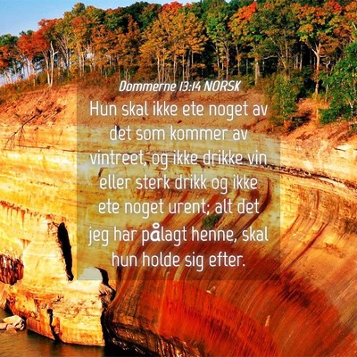 Picture 04 - Dommerne 13:14 NORSK - Hun skal ikke ete noget av det som kommer av - Bible Verse Picture