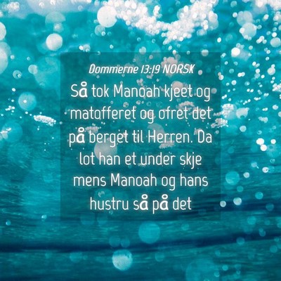 Picture 04 - Dommerne 13:19 NORSK - Så tok Manoah kjeet og matofferet og ofret det - Bible Verse Picture