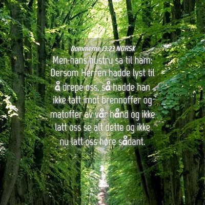 Picture 04 - Dommerne 13:23 NORSK - Men hans hustru sa til ham: Dersom Herren hadde - Bible Verse Picture