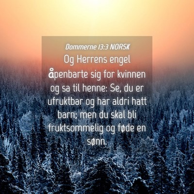 Picture 04 - Dommerne 13:3 NORSK - Og Herrens engel åpenbarte sig for kvinnen og sa - Bible Verse Picture