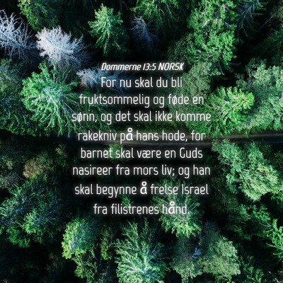 Picture 04 - Dommerne 13:5 NORSK - For nu skal du bli fruktsommelig og føde en - Bible Verse Picture