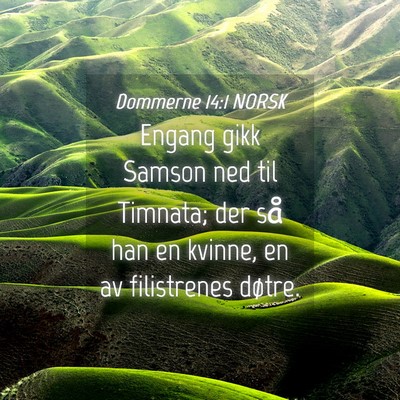Picture 04 - Dommerne 14:1 NORSK - Engang gikk Samson ned til Timnata; der så han - Bible Verse Picture