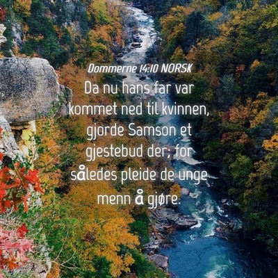 Picture 04 - Dommerne 14:10 NORSK - Da nu hans far var kommet ned til kvinnen, gjorde - Bible Verse Picture