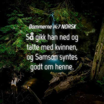 Picture 04 - Dommerne 14:7 NORSK - Så gikk han ned og talte med kvinnen, og Samson - Bible Verse Picture