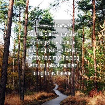 Picture 04 - Dommerne 15:4 NORSK - Så gikk Samson avsted og fanget tre hundre - Bible Verse Picture