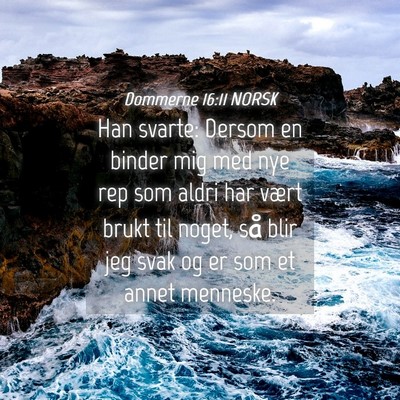 Picture 04 - Dommerne 16:11 NORSK - Han svarte: Dersom en binder mig med nye rep som - Bible Verse Picture