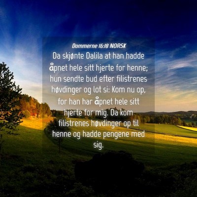 Picture 04 - Dommerne 16:18 NORSK - Da skjønte Dalila at han hadde åpnet hele sitt - Bible Verse Picture