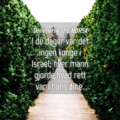 Picture 04 - Dommerne 17:6 NORSK - I de dager var det ingen konge i Israel; hver - Bible Verse Picture