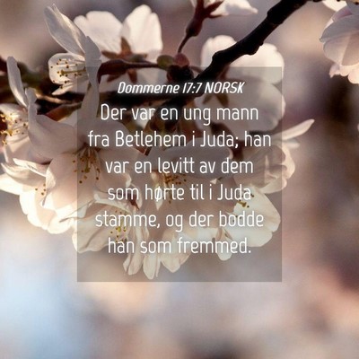 Picture 04 - Dommerne 17:7 NORSK - Der var en ung mann fra Betlehem i Juda; han var - Bible Verse Picture
