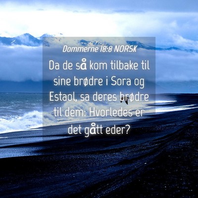 Picture 04 - Dommerne 18:8 NORSK - Da de så kom tilbake til sine brødre i Sora og - Bible Verse Picture